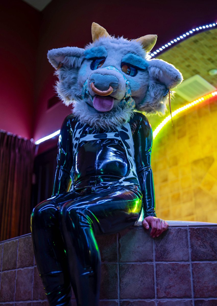 sojucow's tweet photo. Shiny moo 
✨🐮 https://t.co/2h9hLi5qeU