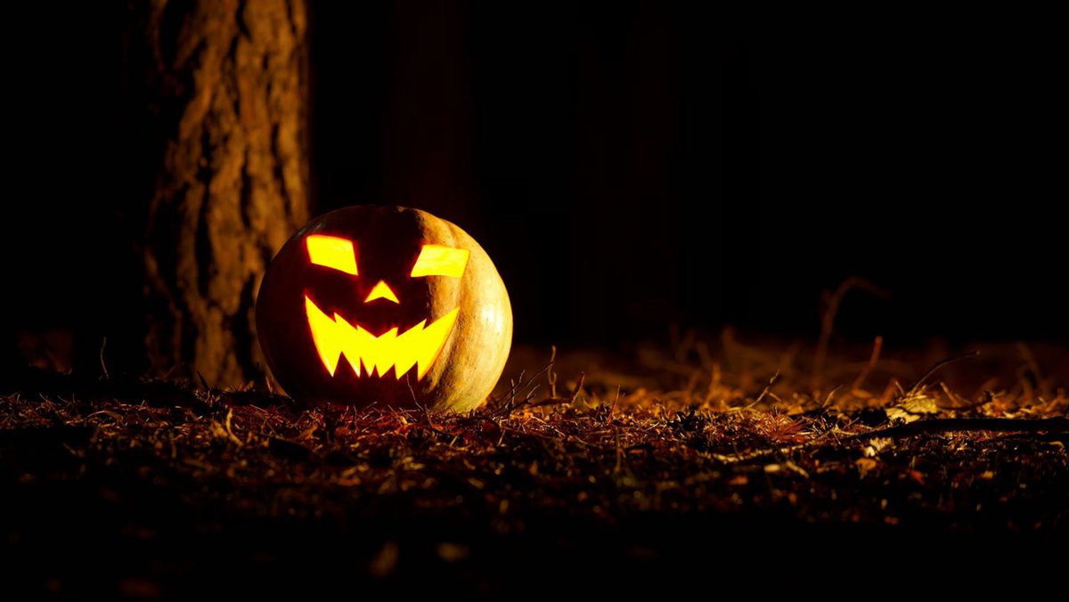 PopCrave's tweet photo. Halloween is one week away. https://t.co/9vDjZ0sOjN