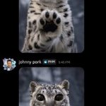 Photo by ⋆°☆ johnny | VGEN | MCR x2/PTV ! (@catboymccartney)