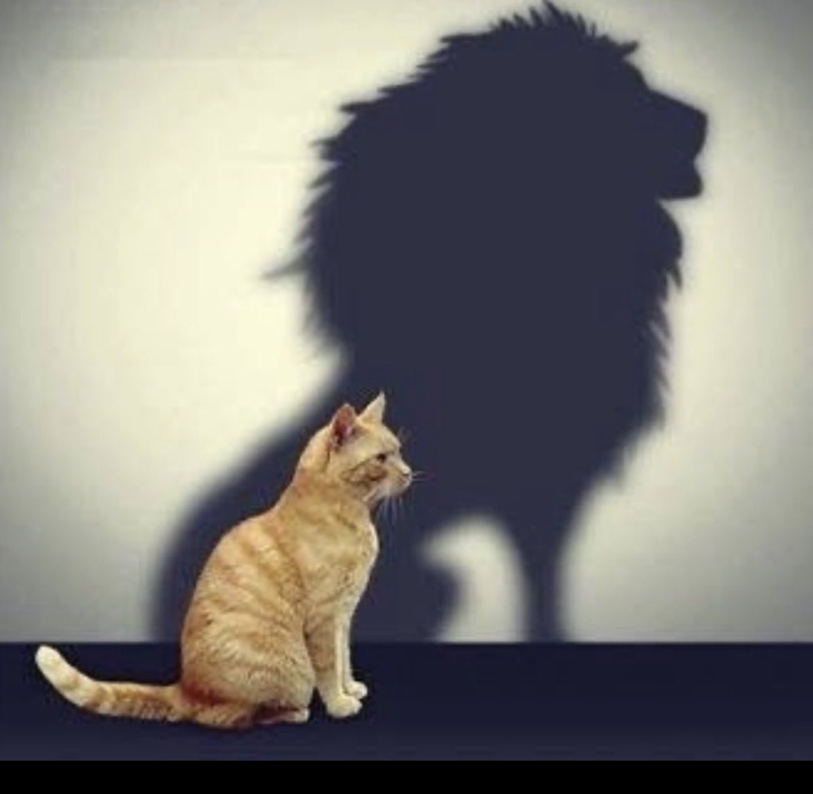 biiiiiol's tweet photo. لما تكون تجاربك النفسية أكبر من شكلك وعمرك https://t.co/r0OGa9pkSm