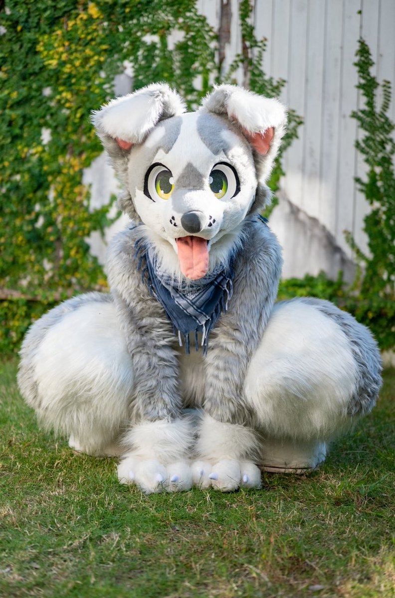 Zack_6r's tweet photo. #FursuitsEveryday
#LopDaze https://t.co/Bz38V33Dat