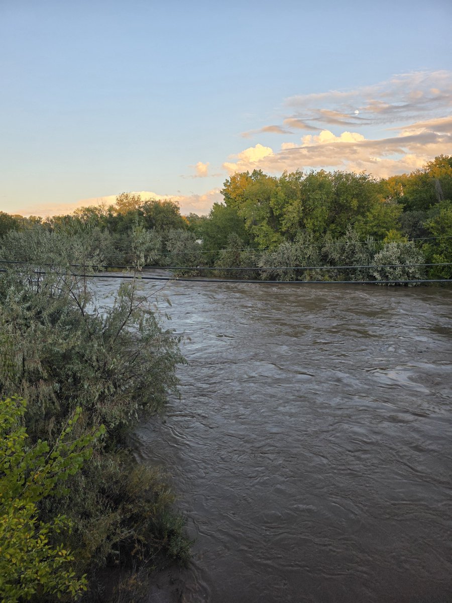 naomhtite's tweet photo. Our rivers are at their breaking point. https://t.co/El0yPuOKR9