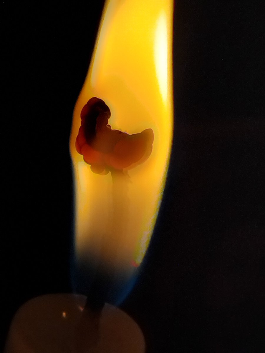 FideiGabriel's tweet photo. "E tudo que pedirdes em oração, crendo recebereis " Mt 21:22

Quando a Rosa aparece no pavio da vela, significa que Nossa Senhora te visitou, intercedeu por você e irá atender às suas preces. (Eu pedi pelas preces de vocês colocar aqui durante a semana. ) https://t.co/vGCtrZh58x
