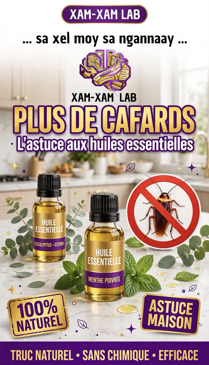 MoussaIbnAlHas1's tweet photo. Je te présente en images 5 astuces naturelles anti cafards que je t’ai déjà enseigné.

#cafard #astuce #faitmaison #dıy #tutoriel https://t.co/nZGXafUHjy