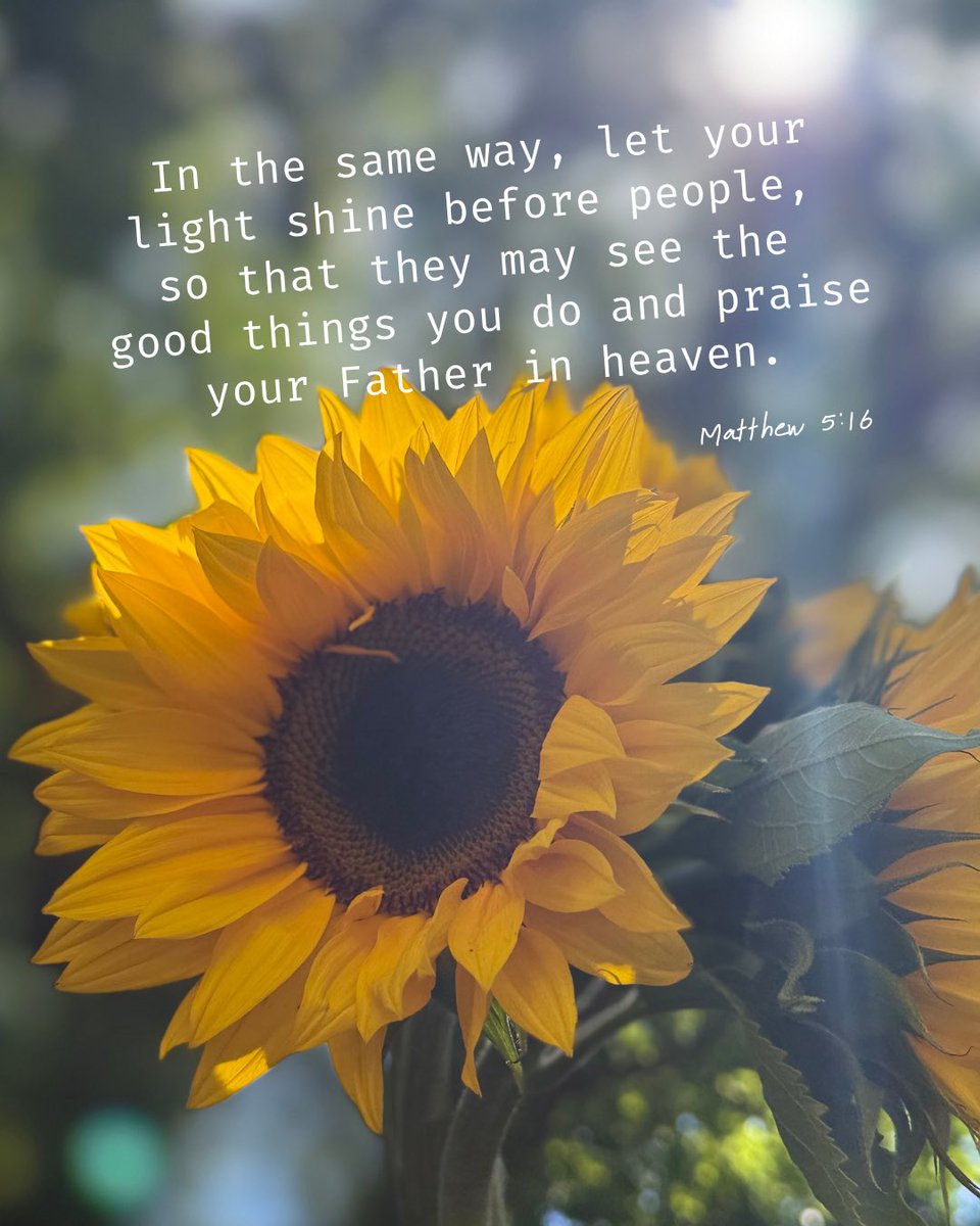 Fly_Darling's tweet photo. Matthew 5:16
In the same way, let your light shine before people, so that they may see the good things you do and praise your Father in heaven.

John 1:5
The light shines in the darkness,
and the darkness has not suppressed it. https://t.co/6TT2UrPF0M