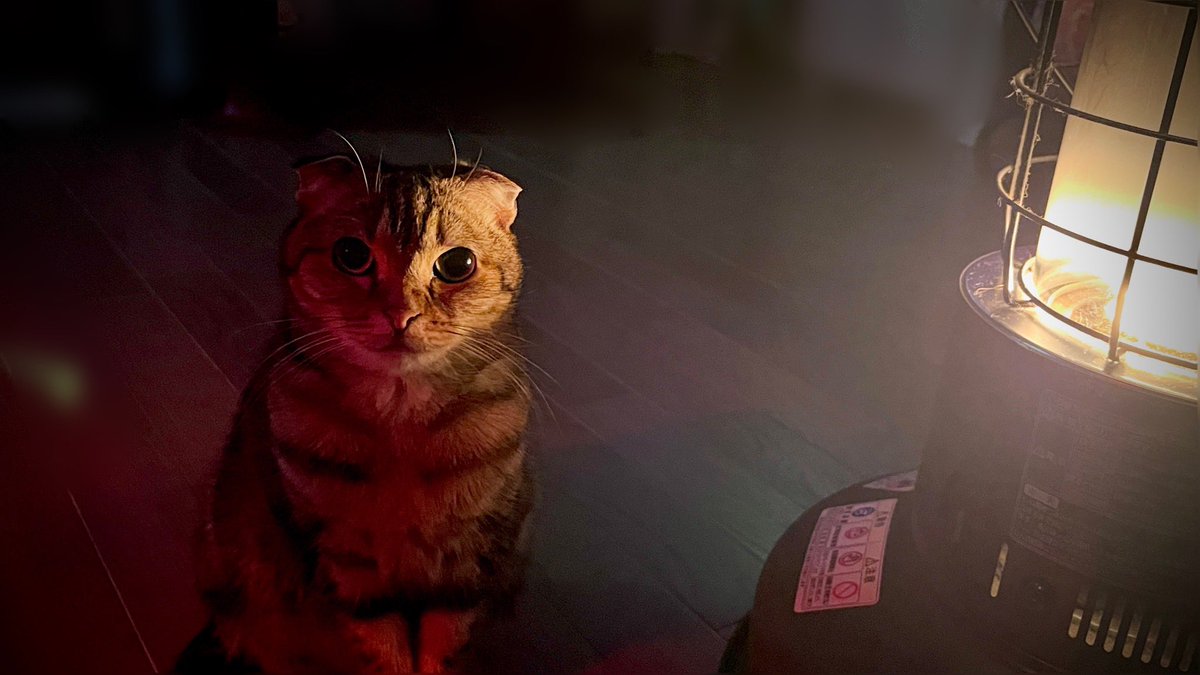 catboy1984's tweet photo. am4時前、ストーブの試運転を
してたら暗闇からツンツン猫が
スゥ〜っと現れたのでビックリした💦 https://t.co/KTHcU7Seqf