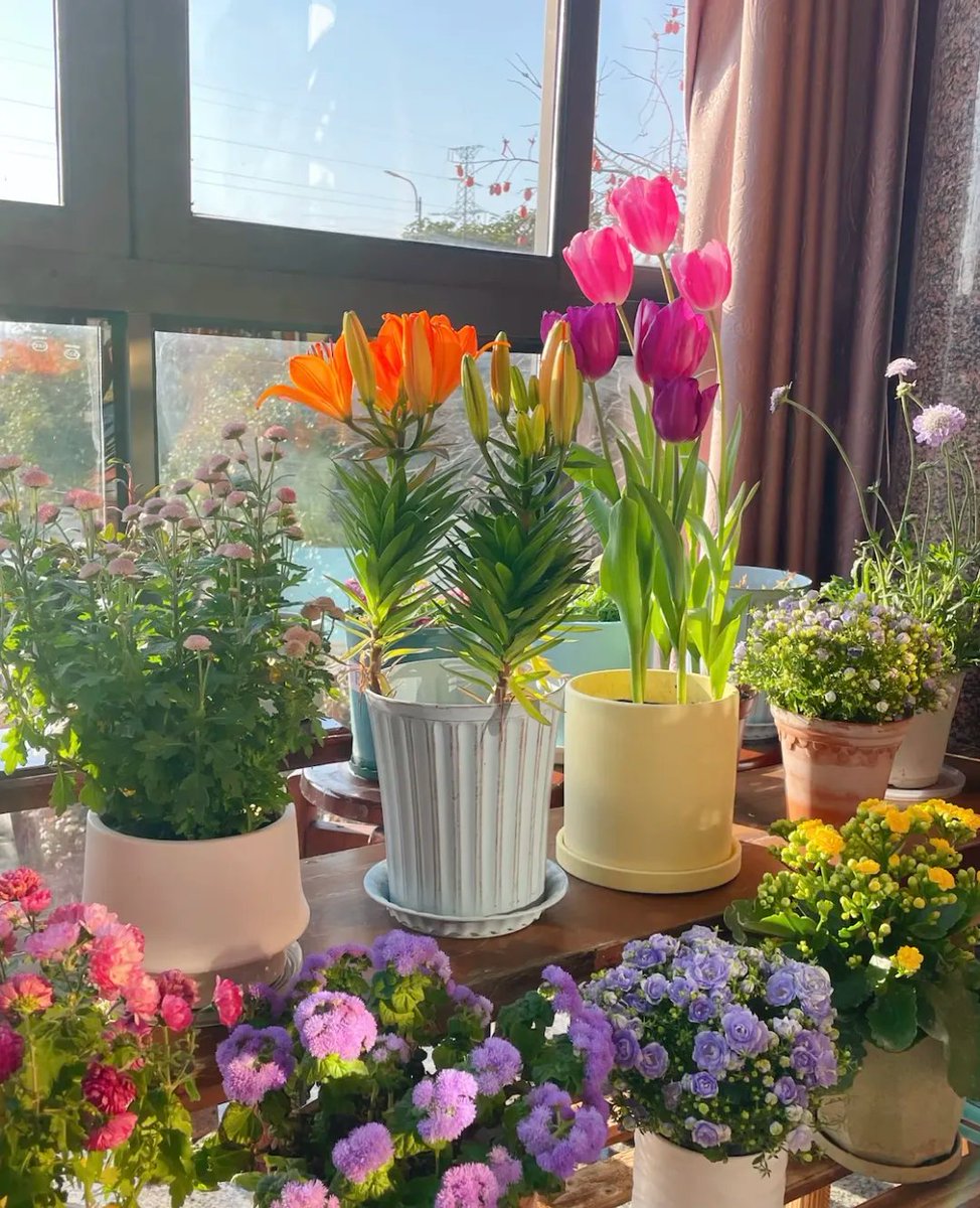 WOnlJD3KdbTB9QH's tweet photo. 辰植空舅の面白さが止まらない！毎日楽しみが増える， https://t.co/is5kVSaLZL