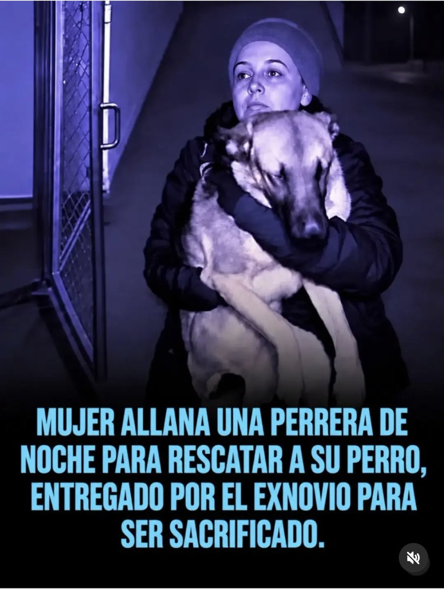 pinupseniorgirl's tweet photo. ¡¡ MENOS MAL Q LO DEJASTE 🤦‍♀️💀💀💀💀 https://t.co/d8qVeZ6iRY