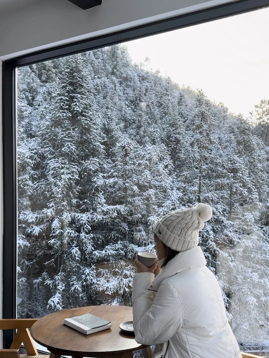 mirumiruj5b's tweet photo. 雪山の橇に寝そべり、睦まじい木々の丛で暖かいお茶をすすりながら、幻想的な冬の幻想を眯む。 https://t.co/Z5nFyAMT55