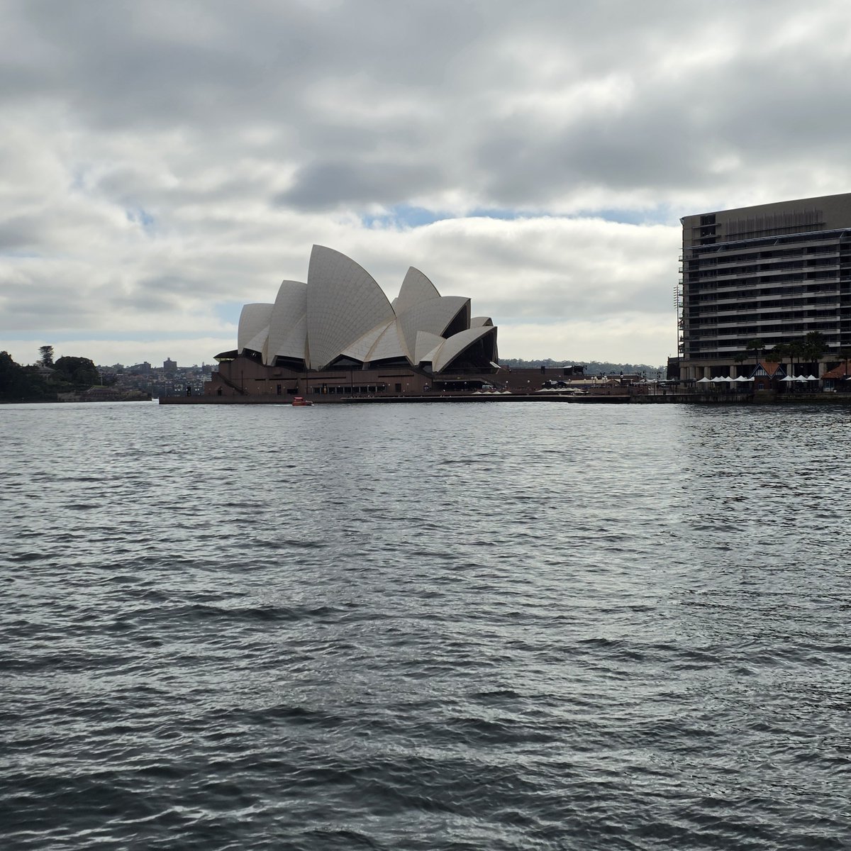 granthawkridge's tweet photo. We in Sydney https://t.co/YvVAZqhPYW