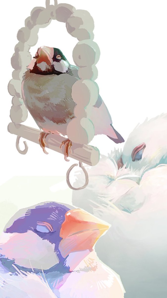 miyanose_tori's tweet photo. #文鳥の日 
フォーエバー！🐥 https://t.co/aEEV2fyJ2J