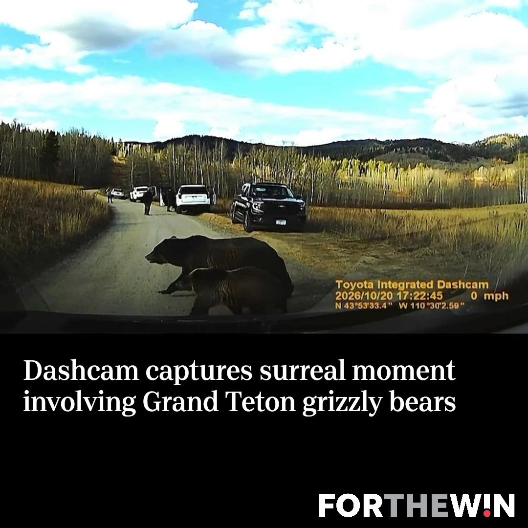 ForTheWin's tweet photo. Dashcam captures surreal moment involving Grand Teton grizzly bears https://t.co/9az7R8g3Cx

📸 Debbie Williams https://t.co/FggyBsvCWZ
