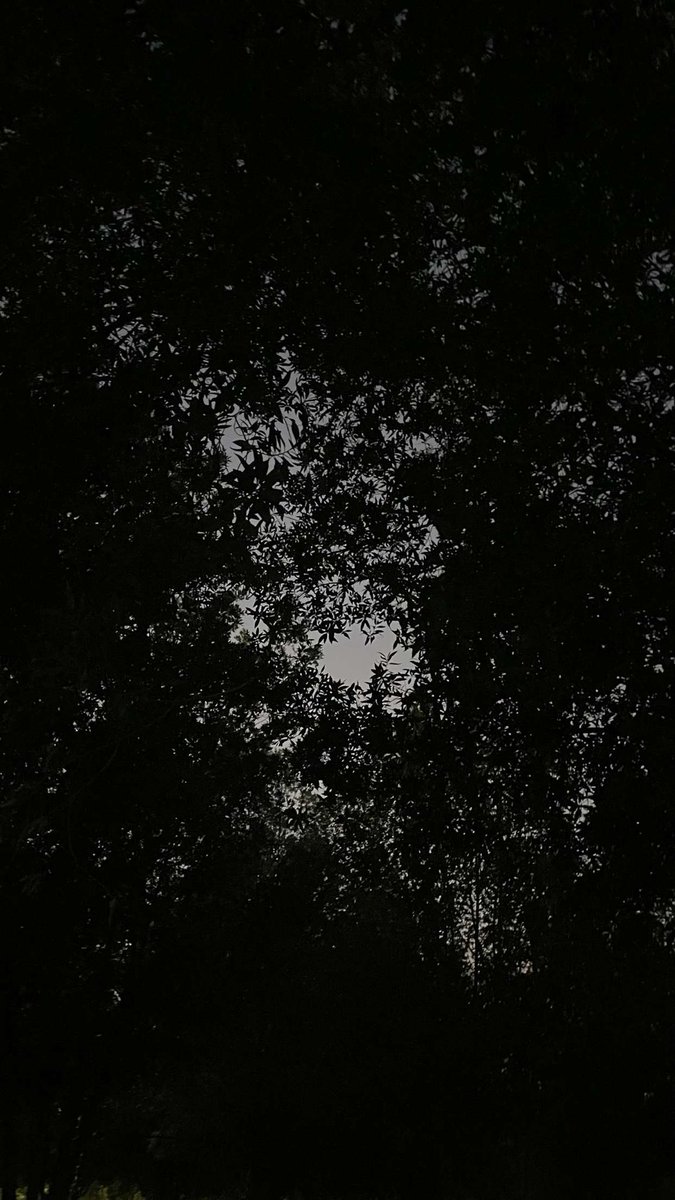 meow_t8's tweet photo. October vibes 🐈‍⬛🐾 https://t.co/IPyoJyMeuY