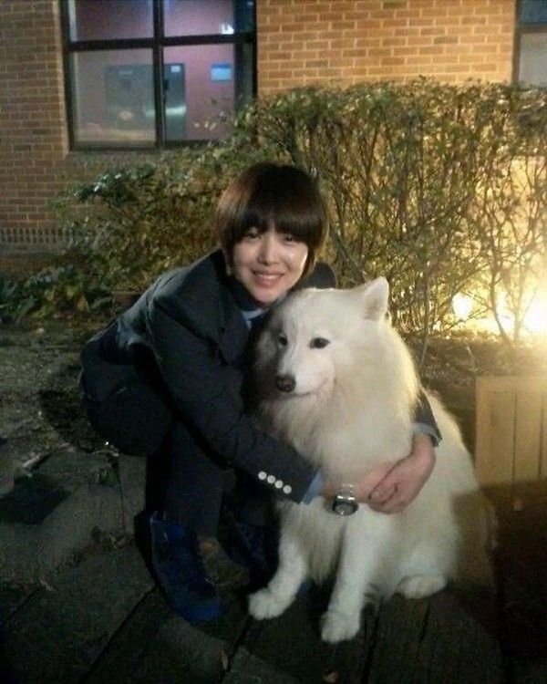 cozysulli tweet picture