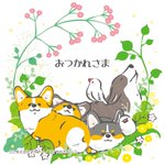 Photo by サカモトリエ/イラストレーター (@riesakamoto)
