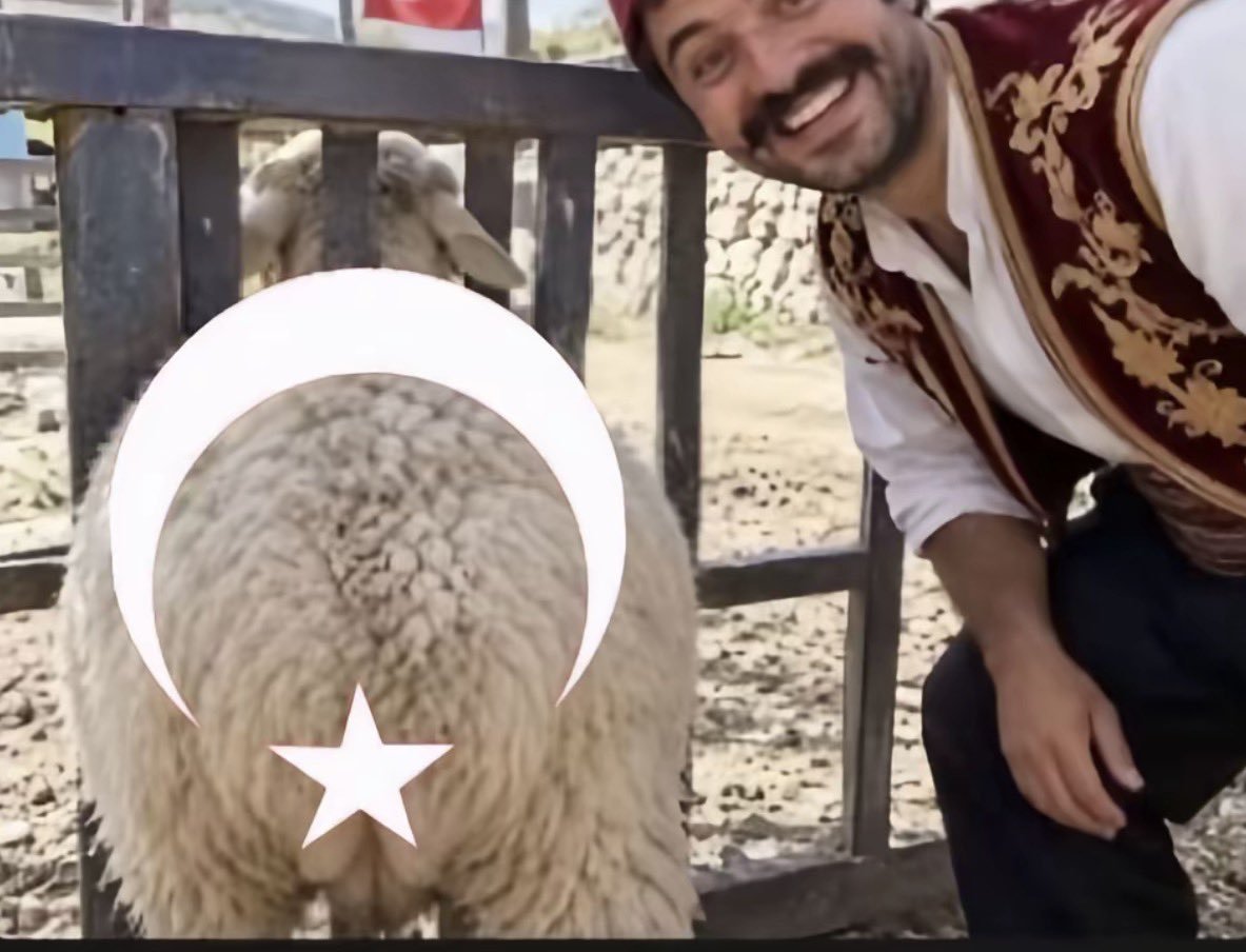 SkyLfCraty_'s tweet photo. @user91178 @omeraydar_ 你操你爸的时候把你爸鸡把砍下来装上羊屁股上，然后把你奶奶的子宫装到猪里面再把你生下来的吧 https://t.co/yMZEnX6uaK