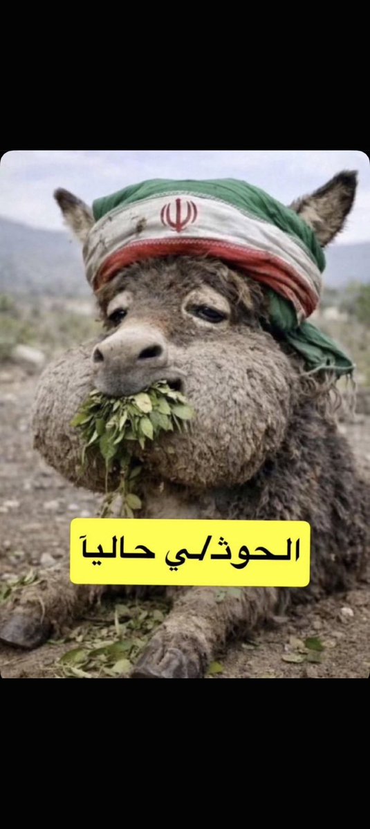 AzozaeS tweet picture
