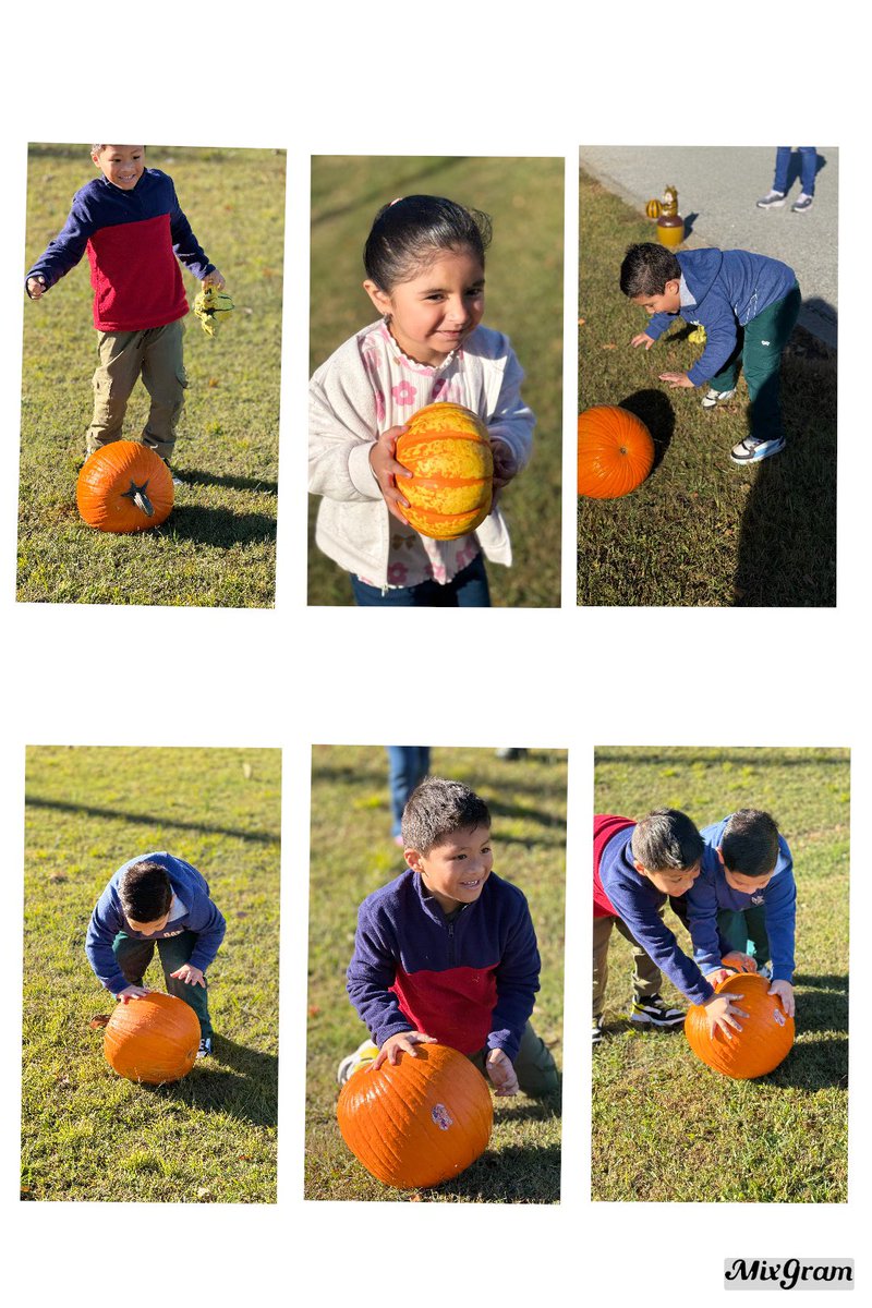 RCAELCPAT's tweet photo. Fun Friday kicked off with our Pumpkin Festival in partnership with Parents as Teachers — pumpkins, giggles, and family fun all around.
#parentsasteachers #homevisiting #pat #DPH #earlylearning https://t.co/W3nj60agrt