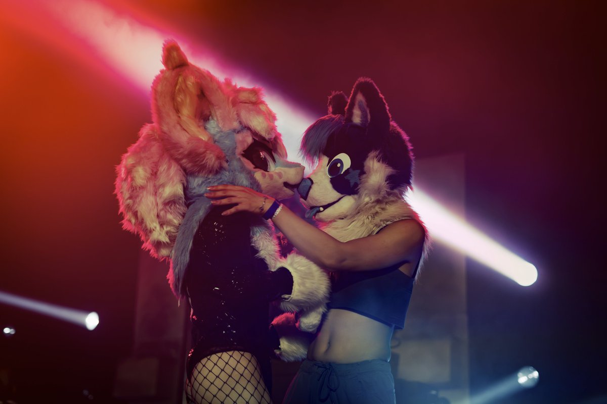 Pawkichip's tweet photo. "Normal people" don't know how to party like the dogs!! https://t.co/HiSNx1E00Q