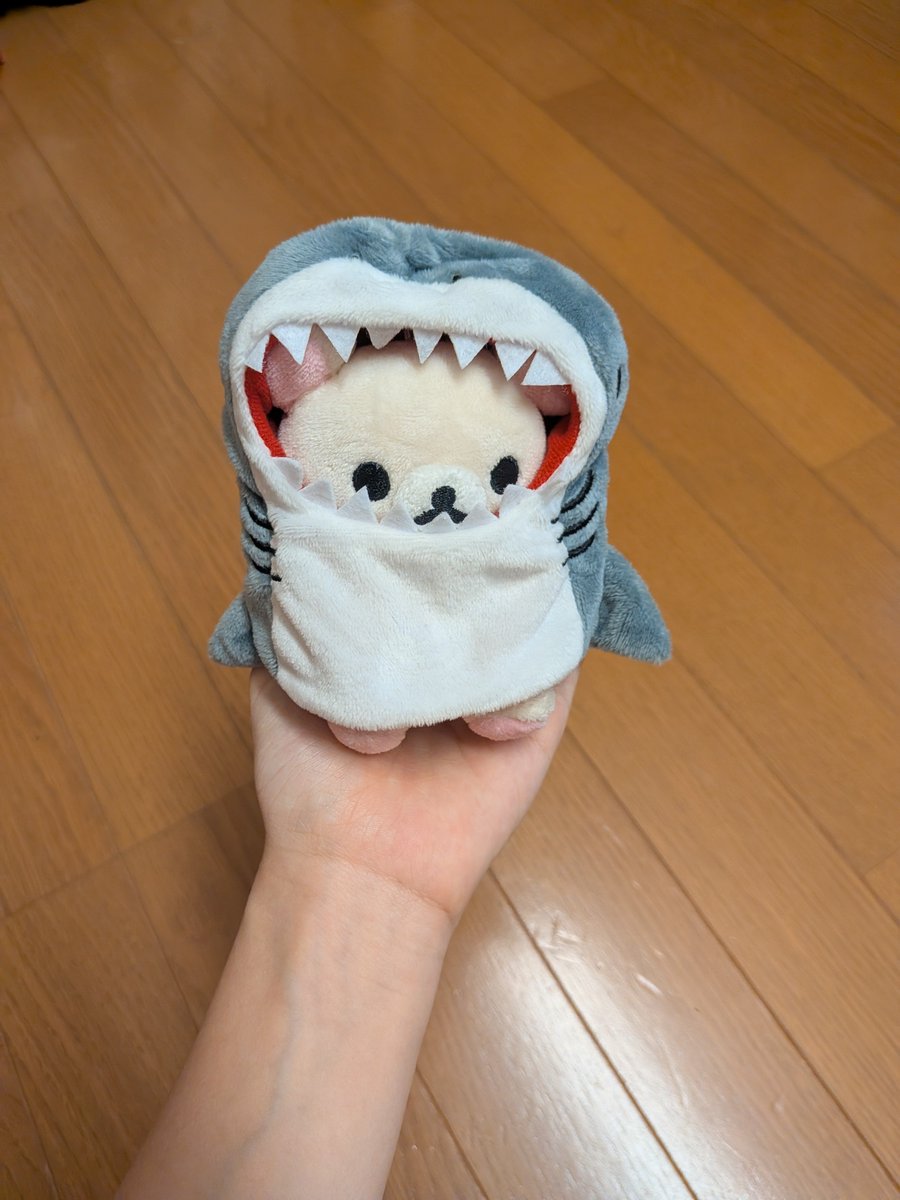 pea_kuma's tweet photo. サメこり懐いてくれた〜 https://t.co/dMUueQfwHr