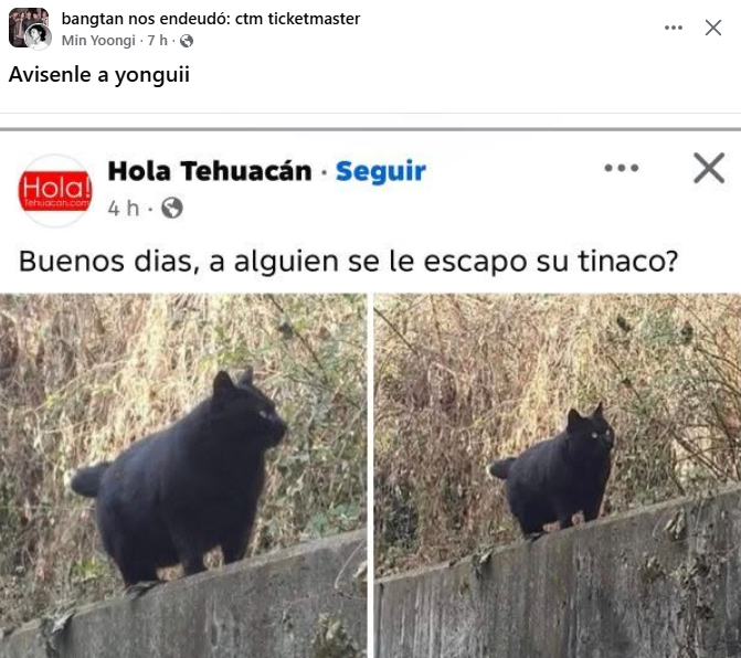 koominrm's tweet photo. SON UNAS CULERAS JAJAJAJAAJAJAJJ https://t.co/xg1OyCVqcD