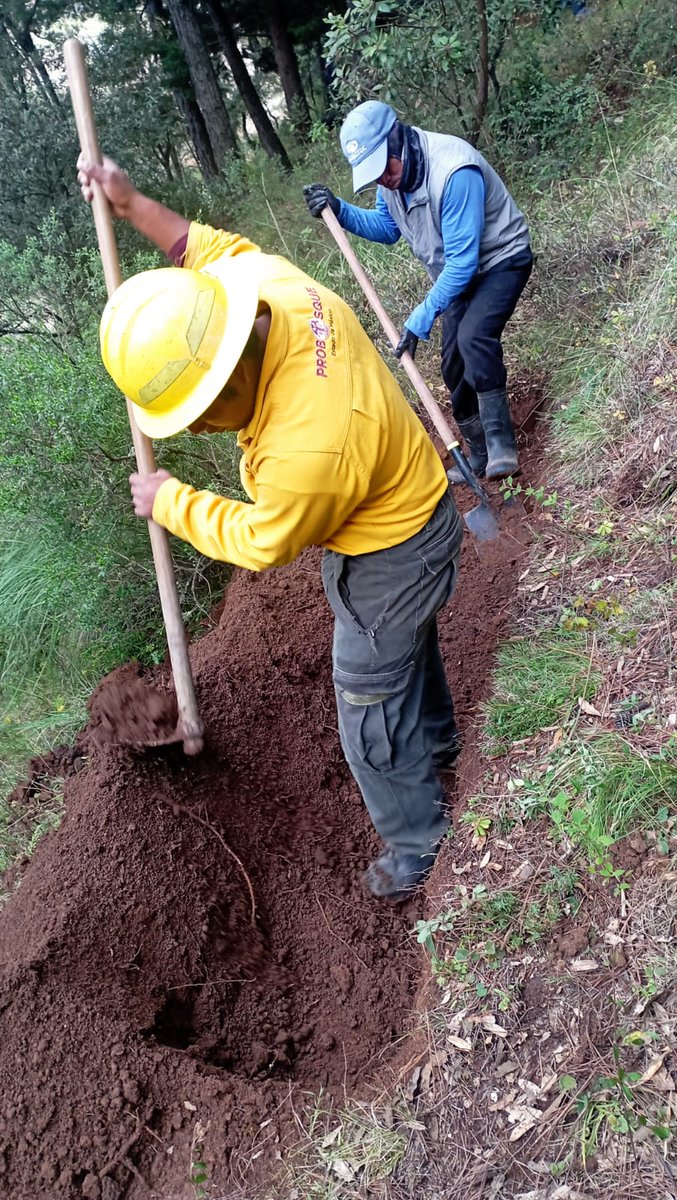 Probosque_'s tweet photo. #ActividadesSilviculturales | En el Ejido San Jerónimo de los Dolores, municipio de #SanJoséDelRincón, las Brigadas 511 y 512 de #Probosque unimos voluntades con el comisariado ejidal y la comunidad para realizar trabajos de prevención. #ElPoderDeServir https://t.co/3degmAYFXJ