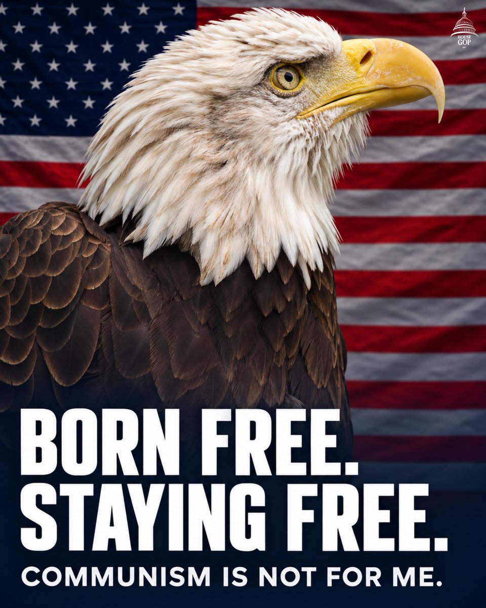 A poster featuring a large bald eagle in front of an American flag. Bold text appears across the bottom, with a small logo in the upper-right corner.