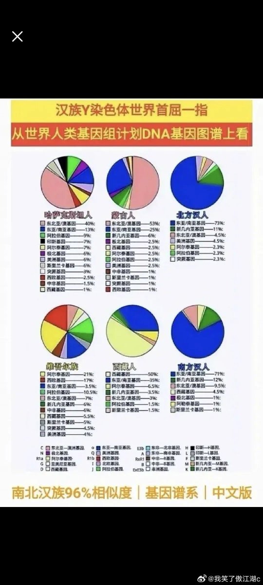 chuanji83403202's tweet photo. @gymlio245 @airokairwin @yazbunuesra 这个才是中国人的DNA图表，你们土耳其人造谣能不能造谣的像一点 https://t.co/ZaWxxXSoIh