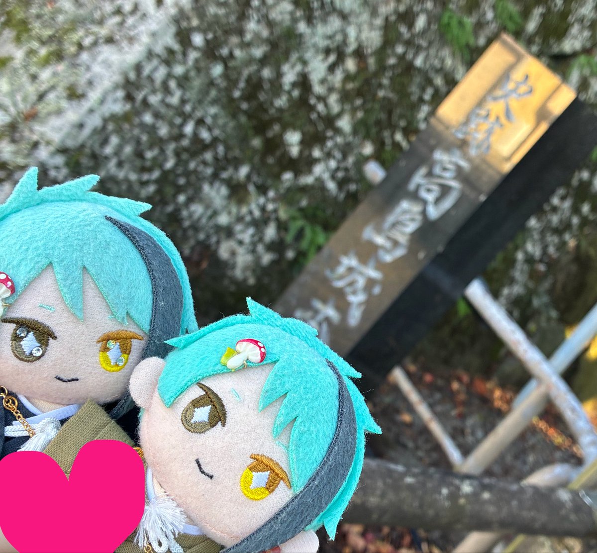 nuichi_11's tweet photo. ＃ぬいと100名城
＃ぬいと続100名城

松本城（初）
高島城（初） https://t.co/ZQdP1gekRN