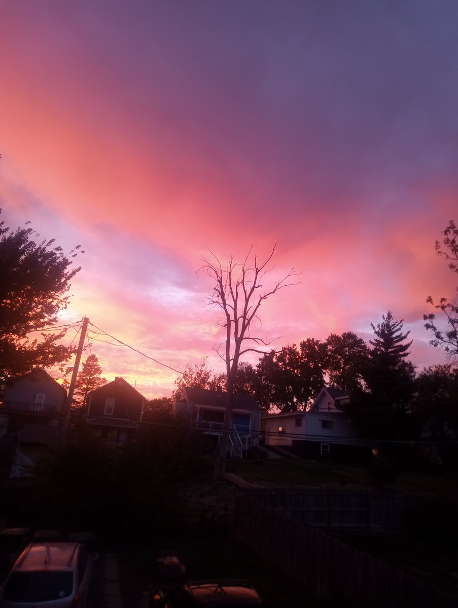 WeeklyBeagle's tweet photo. Oh Dog, thank y'all fur da funners walkies n dis here beautimous sunset. Please, if'n ya don't mind, send a bit a beautimous ta all da @RescueCoop pups what live wiff @LolaPatolla. https://t.co/AsElp6OnPi
