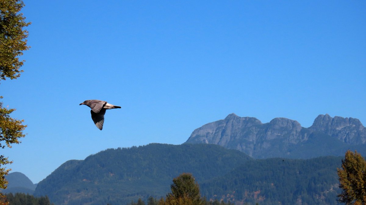 HelenH85406's tweet photo. #FlyDay https://t.co/QMfd6IUwTV