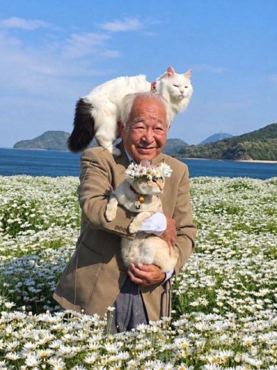 AztecaUNO's tweet photo. Este señor solo quiere guardar recuerdos bonitos con sus gatitos, pero parece que ellos no recibieron el memo. 😭🐈📸
.
Cada vez que intenta tomarse una foto familiar, sus michis terminan peleándose y convirtiendo el momento en un caos adorable.😂💗 

¿Tus mascotas también esperan a que saques el celular para hacer sus travesuras? 🐾