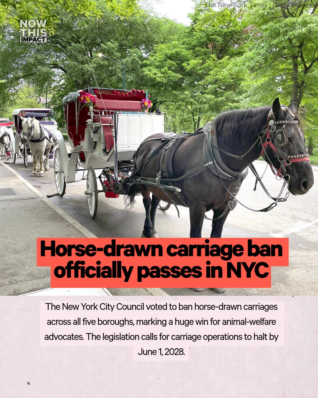 NowThis Impact on X: 