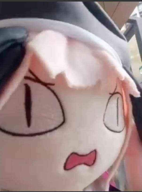 ThisShio tweet picture