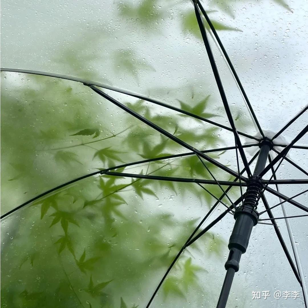 kumakumashm's tweet photo. 「滓を払い、携えた傘で隅まで清めた。まだ夏の気配が 残りつつ 、秋の気配が訪れる」， https://t.co/2aAeE2igFD