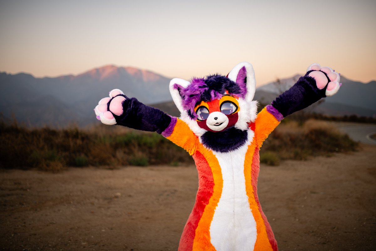 ArcherEmberpelt's tweet photo. Fun fact: red pandas are native to the Himalayas. This is... close enough, I guess.

#FursuitFriday
🧶: @kemonokapi 
📸: @AscariHusky_ https://t.co/ToBtUVe78M