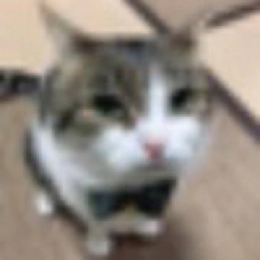 ThisShio tweet picture