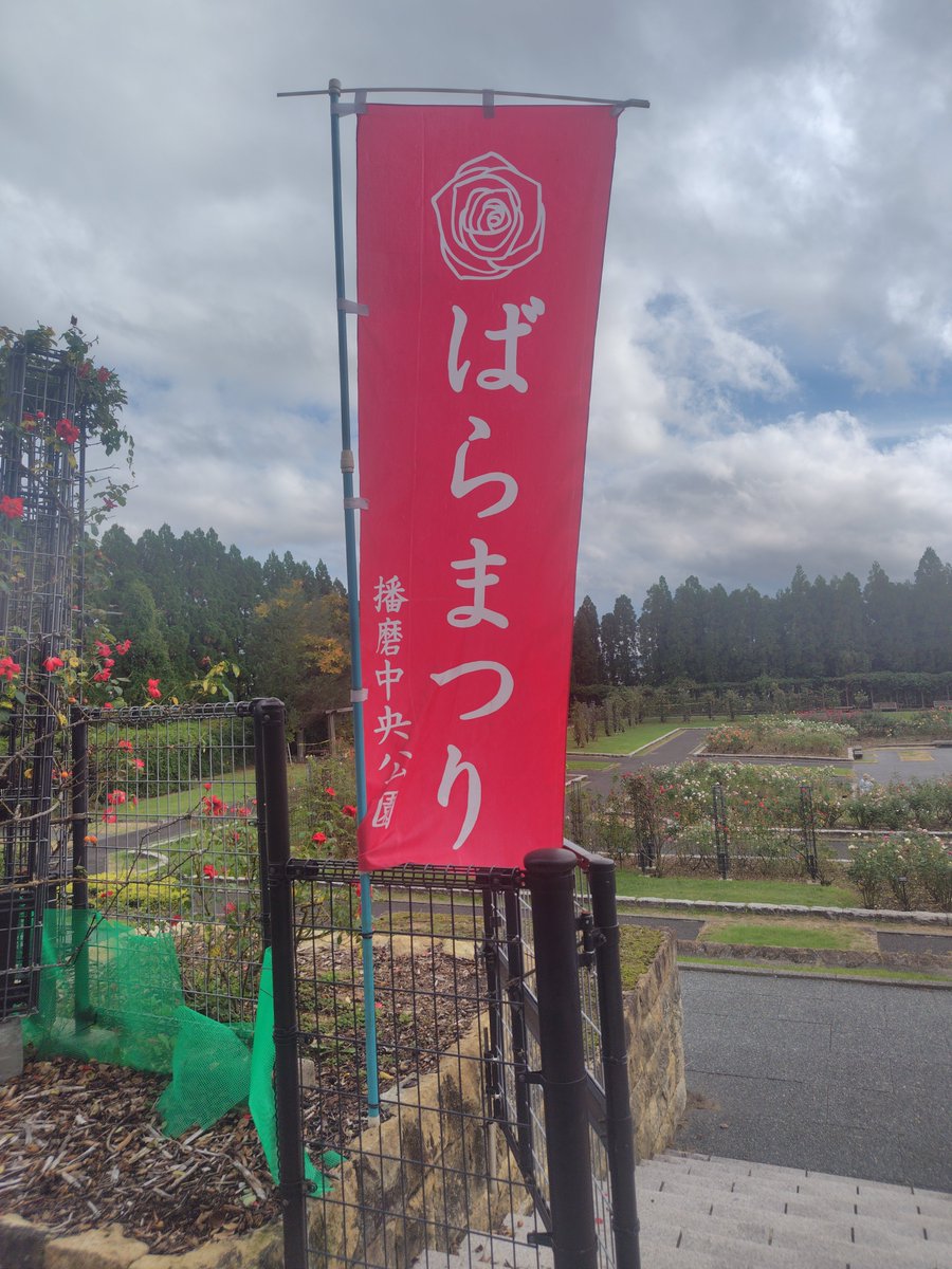 T6SRPeI88ASqE3Z's tweet photo. 今日は兵庫県加東市の播磨中央公園で開催中のばらまつりに来ております🌹

大自然を感じる… https://t.co/o1K230AZJF