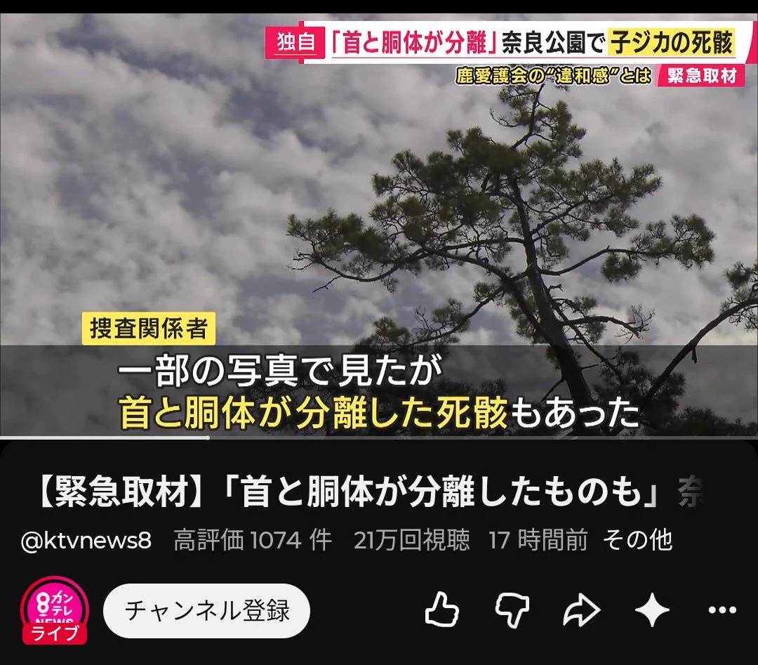 くつしたas on X: 