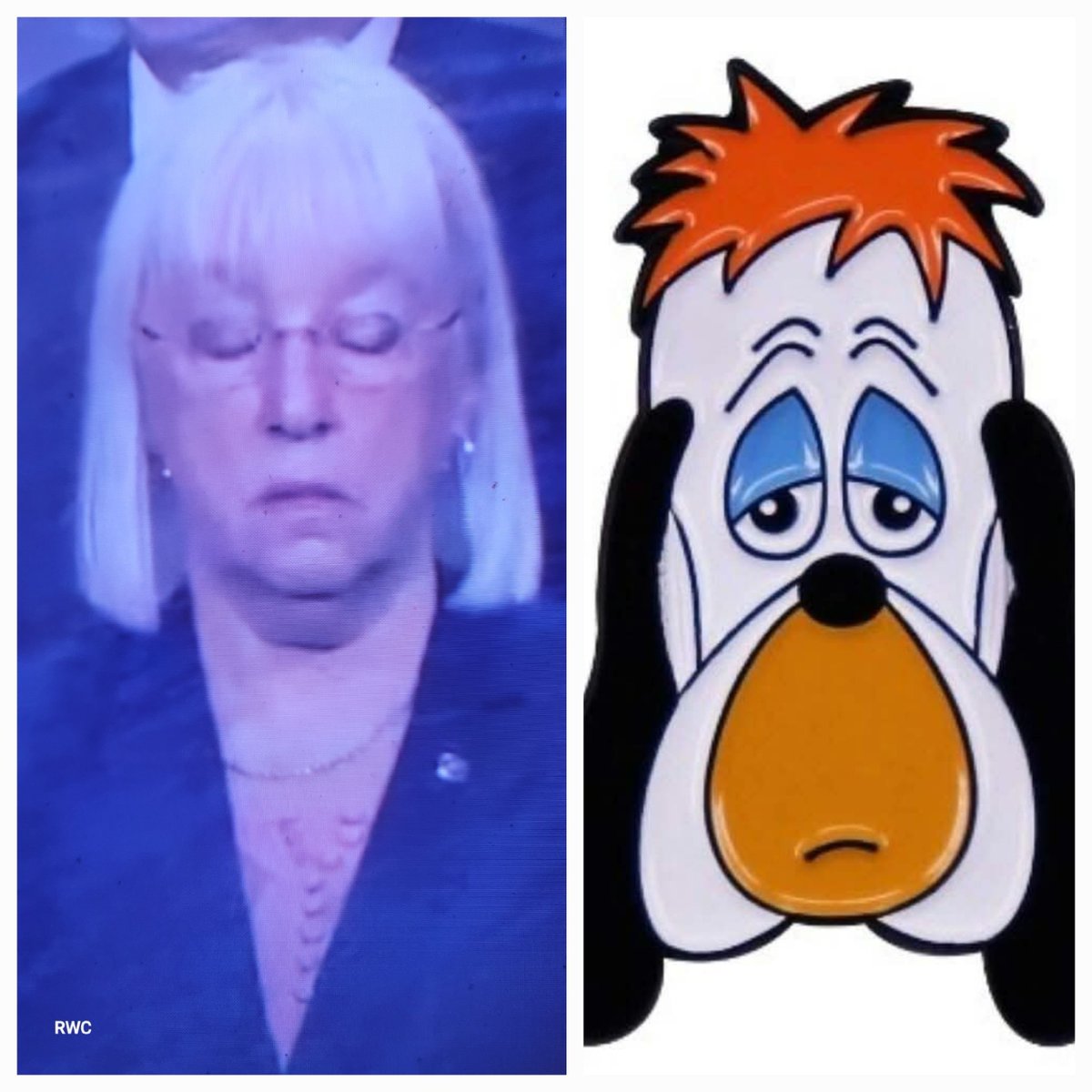 1ravenwolf's tweet photo. @PattyMurray This is what I meant by droopy dog lol https://t.co/7X6ZnKIf4u