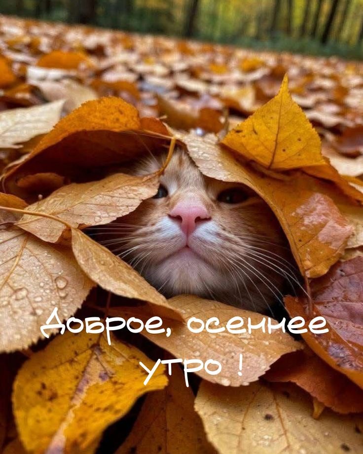Alinaix7's tweet photo. https://t.co/6VPoIZuwTn