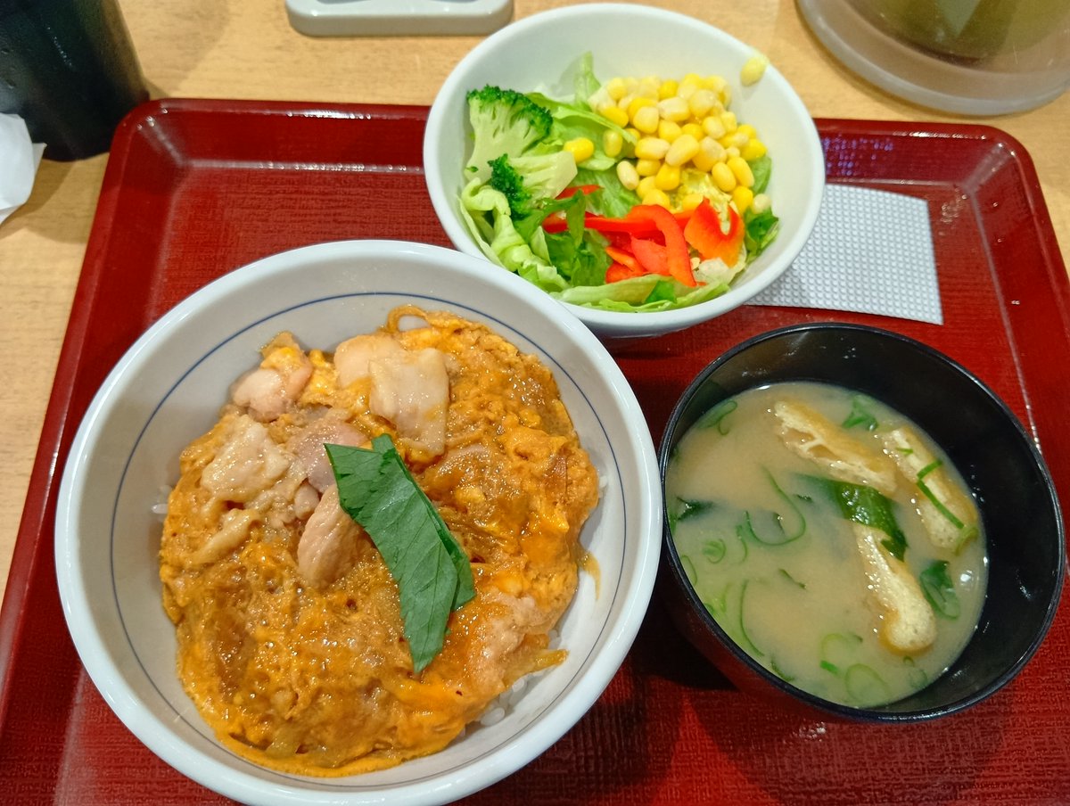 hr18com's tweet photo. 最近行ったお店♪
なか卯（都内某所）
時々違うメニューの開拓もしましたがやはり親子丼が一番ですね🐦🍳
1枚目は並盛、2枚目は久々の小盛ですが確かに結構量差ありますね😲

世間は今絶賛メンテ祭りですがポイ活に支障が出てる人結構多いはず😔 https://t.co/iPibovvGsZ