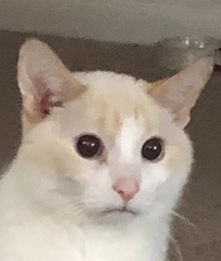 Ganymede on X: 