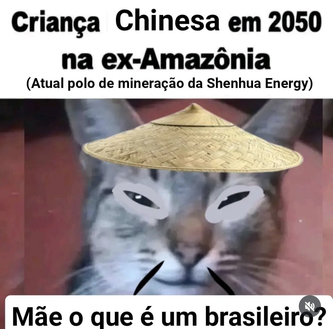 carolinamilosk1's tweet photo. @quero_sossego Os memes estão se tornando reais https://t.co/JxAlQXY8cX