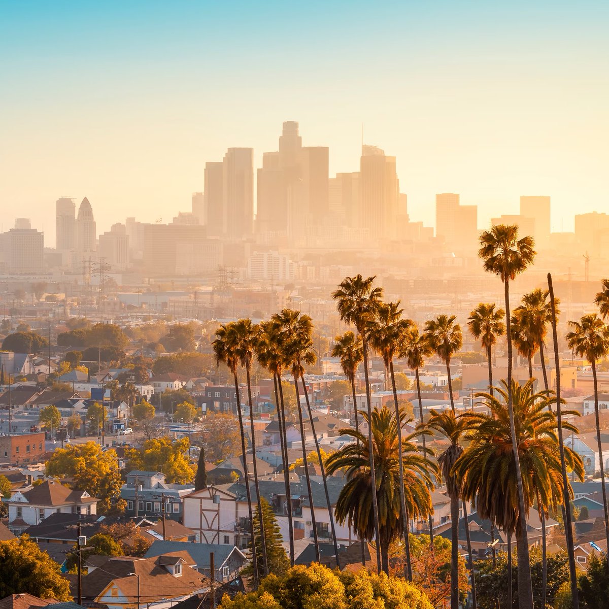 PurpGoldLakers's tweet photo. 🚨 Walker Kessler on living in LA

“It’s awesome, it’s beautiful. Weather’s unreal, temperatures are great, people are super friendly. Traffic is an adjustment, but I’m from Atlanta, so I’m kind of used to a little traffic. Other than that, it’s been fantastic.” https://t.co/iXxviKBVt1