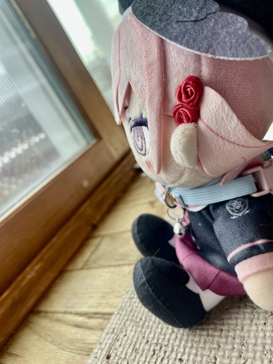ra_men0919's tweet photo. ໒꒱ あめ ふってるね 、きょうは おでかけ できないかな 〜…？

 #ブルアカぬいぬいぬい活 #ぬい撮り #ぬい活 https://t.co/x1q1O0ldKw