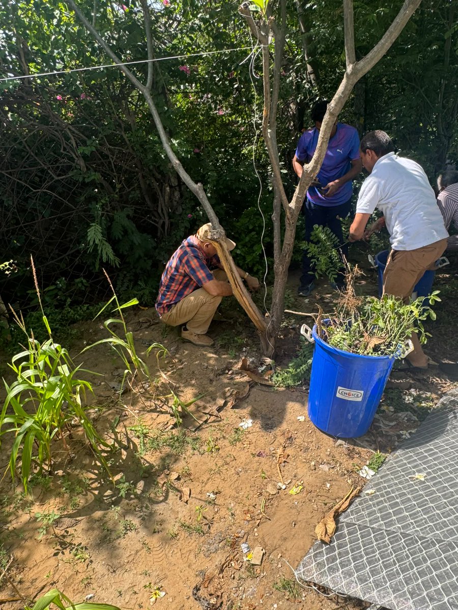 DefenceAccounts's tweet photo. Office of the IFA (South-Western Command) @SWComd_IA undertakes office-wide cleanliness drive under the #SpecialCampaign6 

@DARPG_GoI @SwachhBharatGov @PIBJaipur @PRODefRjsthn https://t.co/rEBF9uS6x1