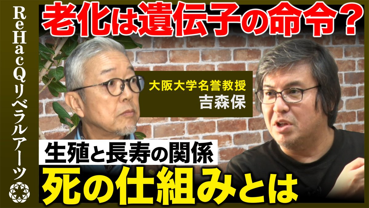 ReHacQ's tweet photo. 【ReHacQリベラルアーツ】   
12:00〜プレミア公開スタート     

今回は大阪大学名誉教授の吉森保さんにお越しいただき、
老化と死の仕組みやオートファジー研究の難しさ
生命の不思議について語っていただきました！

ご視聴はこちら
https://t.co/RHKcWy2od5
よろしければチャンネル登録お願いします