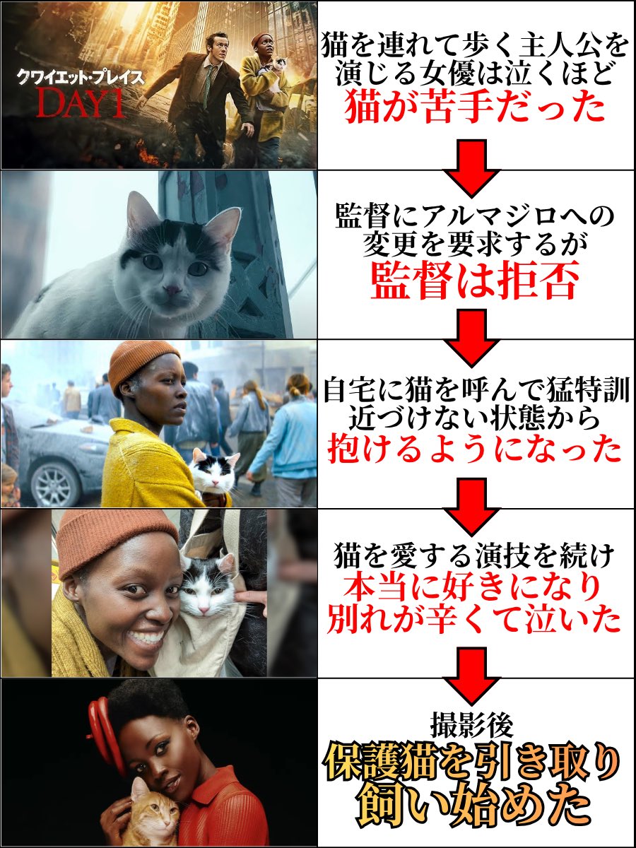 Pilly_Horror's tweet photo. 【猫嫌いが猫とホラー映画で共演した結果】 https://t.co/M55t8EtkT6