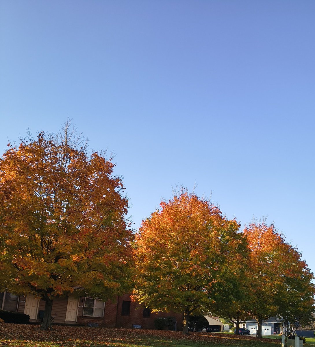 Julssszz1's tweet photo. Can't get much prettier than this in my front yard & down my street! ππβ€οΈπ€
#Fallweather https://t.co/XMk31jOw9z